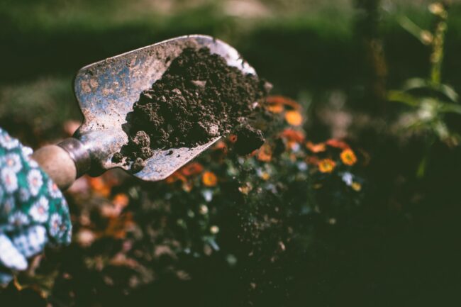 pexels-lisa-fotios-1301856 This is a photo of someone digging with a hand tool.