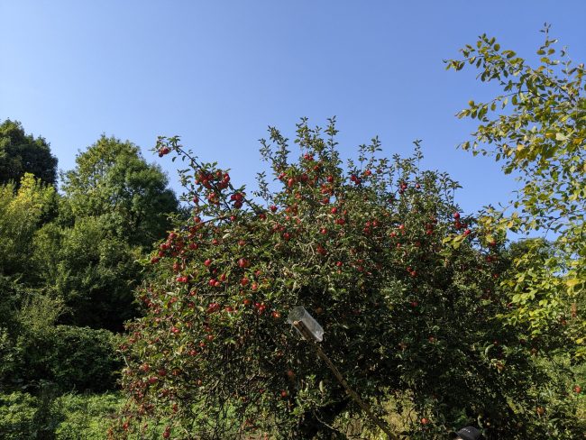 PXL_20220914_093418255