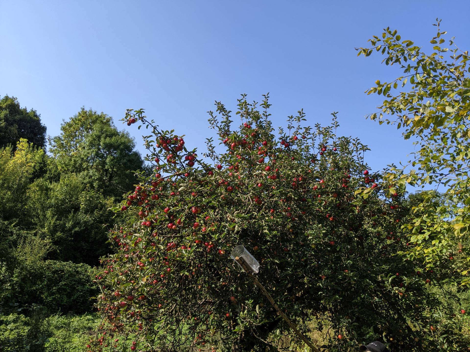 PXL_20220914_093418255