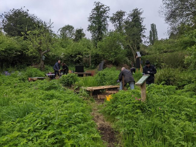 PXL_20230513_115346617