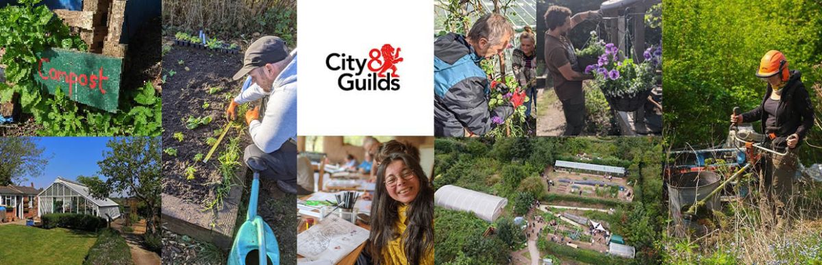 Collage highlighting Students working towards their City & Guilds in practical horticulture qualifications at STAA in Nottingham. Based at the historic St Ann’s Allotments. Images show learners engaging in hands-on gardening tasks like planting, composting, tool use, and working in greenhouses and communal plots as well as classroom sessions including garden design The City & Guilds logo at the centre of the image